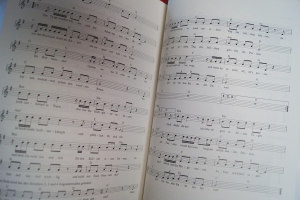 Reinhard Mey - Alles geht Songbook Notenbuch Vocal Guitar