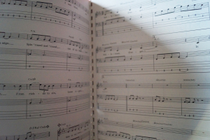 Mötley Crüe - Bass Series Songbook Notenbuch Vocal Bass