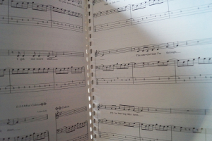 Mötley Crüe - Bass Series Songbook Notenbuch Vocal Bass