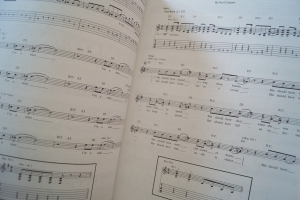 Nirvana - Incesticide Songbook Notenbuch Vocal Guitar