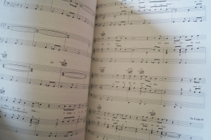 Phil Collins - Dance Into The Light Songbook Notenbuch Piano Vocal Guitar PVG