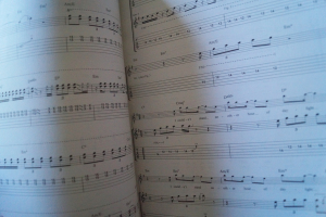 Police - Anthology Songbook Notenbuch Vocal Guitar