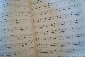 Reinhard Mey - Flaschenpost Songbook Notenbuch Vocal Guitar