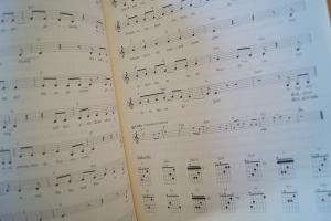 Reinhard Mey - Flaschenpost Songbook Notenbuch Vocal Guitar