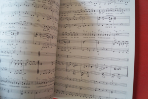 Rainbirds - Any Kind of Love can make you stronger Songbook Notenbuch Piano Vocal Guitar PVG