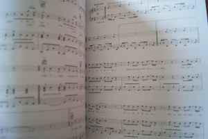 Red Hot Chili Peppers - I´m with You Songbook Notenbuch Piano Vocal Guitar PVG