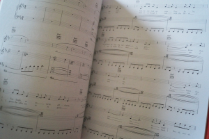 Robbie Williams - Reality killed the Video Star Songbook Notenbuch Piano Vocal Guitar PVG