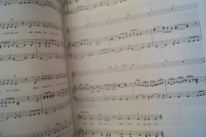 Doofen, Die - Melodien für Melonen/Die Doofen Songbook Notenbuch Piano Vocal Guitar PVG