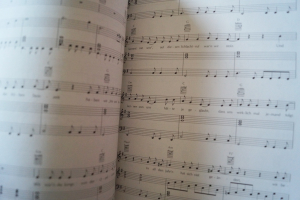 Toten Hosen, Die - Unsterblich Songbook Notenbuch Piano Vocal Guitar PVG