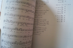 Scorpions - Savage Amusement Songbook Notenbuch Vocal Guitar