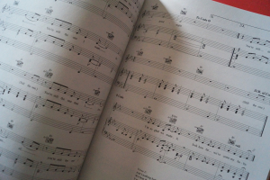 Shania Twain - Greatest Hits (neuere Ausgabe) Songbook Notenbuch Piano Vocal Guitar PVG