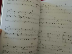 Lily Allen - It´s not me, it´s you Songbook Notenbuch Piano Vocal Guitar PVG