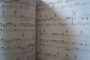 Ed Sheeran - Divide Songbook Notenbuch Piano Vocal Guitar PVG