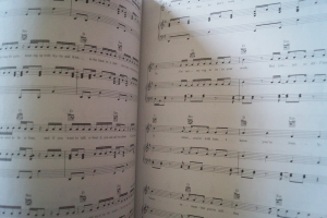 Ed Sheeran - Divide Songbook Notenbuch Piano Vocal Guitar PVG