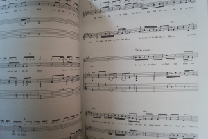 Soul Asylum - Let your dim Light shine Songbook Notenbuch Vocal Guitar