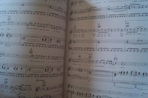 Spandau Ballet - Heart like a Sky Songbook Notenbuch Piano Vocal Guitar PVG