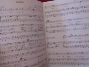 Spider Murphy Gang - Wahre Liebe Songbook Notenbuch Piano Vocal Guitar PVG