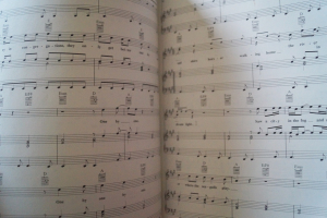 Sting - The Soul Cages Songbook Notenbuch Piano Vocal Guitar PVG