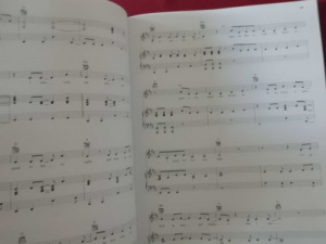 Taylor Swift - Speak now Songbook Notenbuch Piano Vocal Guitar PVG