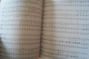 Tin Machine (David Bowie) - Tin Machine (mit Poster) Songbook Notenbuch Piano Vocal