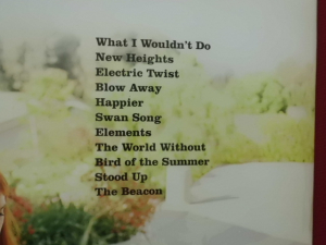 A Fine Frenzy - Bomb in a Birdcage Songbook Notenbuch Piano Vocal Guitar PVG