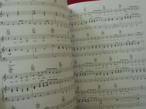 A Fine Frenzy - Bomb in a Birdcage Songbook Notenbuch Piano Vocal Guitar PVG