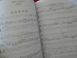 U2 - All that you can´t leave behind Songbook Notenbuch Vocal Guitar