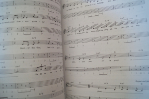 Simon and Garfunkel - Greatest Hits Songbook Notenbuch Vocal Easy Guitar
