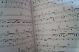 Abba - The Singles Songbook Notenbuch Piano Vocal Guitar PVG