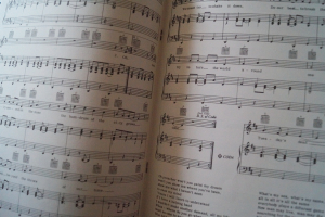 Cat Stevens - The Great Songs of Songbook Notenbuch Piano Vocal Guitar PVG