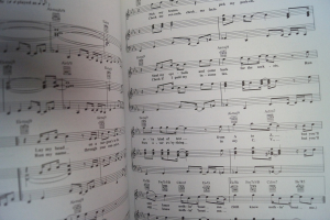 Sting - Best of (Fields of Gold) Songbook Notenbuch Piano Vocal Guitar PVG