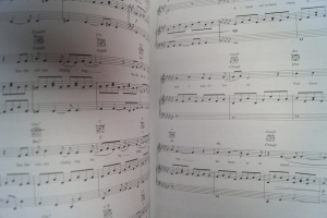 Tori Amos - American Doll Posse Songbook Notenbuch Piano Vocal Guitar PVG