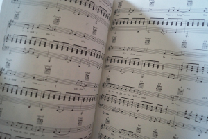 Tori Amos - The Bee Sides Songbook Notenbuch Piano Vocal Guitar PVG