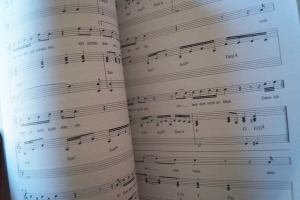 Xavier Naidoo - The Best of Songbook Notenbuch Piano Vocal Guitar PVG
