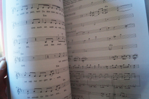 Xavier Naidoo - The Best of Songbook Notenbuch Piano Vocal Guitar PVG