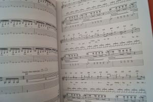 Megadeth - Capitol Punishment Songbook Notenbuch Vocal Guitar
