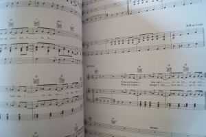 Abba - Gold & More Gold Songbooks Notenbücher Piano Vocal Guitar PVG