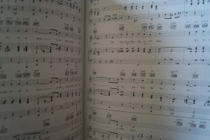 Frank Sinatra - Gold Classics Songbook Notenbuch Piano Vocal Guitar PVG