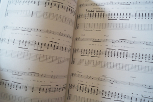 Oasis - The Other Side of Oasis Songbook Notenbuch Vocal Guitar