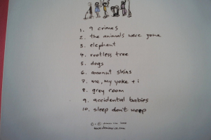 Damien Rice - 9 Songbook Notenbuch Vocal Guitar