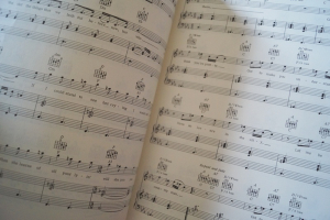 Crosby Stills Nash Young - CSNY / Deja vu Songbook Notenbuch Piano Vocal Guitar PVG