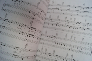 A Fine Frenzy - One Cell in the Sea Songbook Notenbuch Piano Vocal Guitar PVG