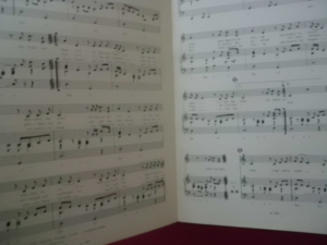 Bata Illic - Stimme der Sehnsucht Songbook Notenbuch Piano Vocal Guitar PVG