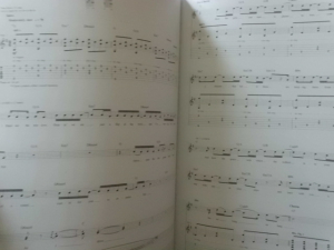 Dashboard Confessional - Dusk and Summer Songbook Notenbuch Vocal Guitar