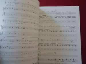 Strokes - This is it Songbook Notenbuch Piano Vocal Guitar PVG