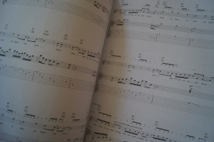 Ed Sheeran - + (Plus) Songbook Notenbuch Vocal Guitar