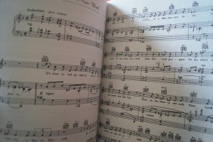 Frank Sinatra - Songbook Songbook Notenbuch Piano Vocal Guitar PVG