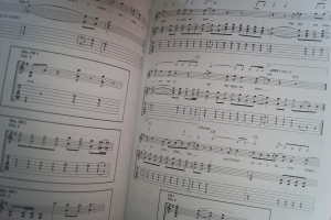 Gin Blossoms - Congratulations I´m Sorry Songbook Notenbuch Vocal Guitar