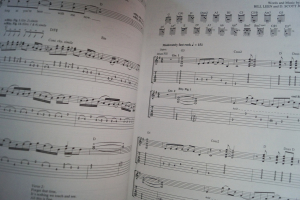 Gin Blossoms - Congratulations I´m Sorry Songbook Notenbuch Vocal Guitar