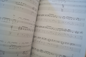 Mark Knopfler - Kill to Get Crimson Songbook Notenbuch Vocal Guitar